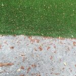 10 years of guarantee for the best grass lawns!