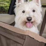 pet transport singapore
