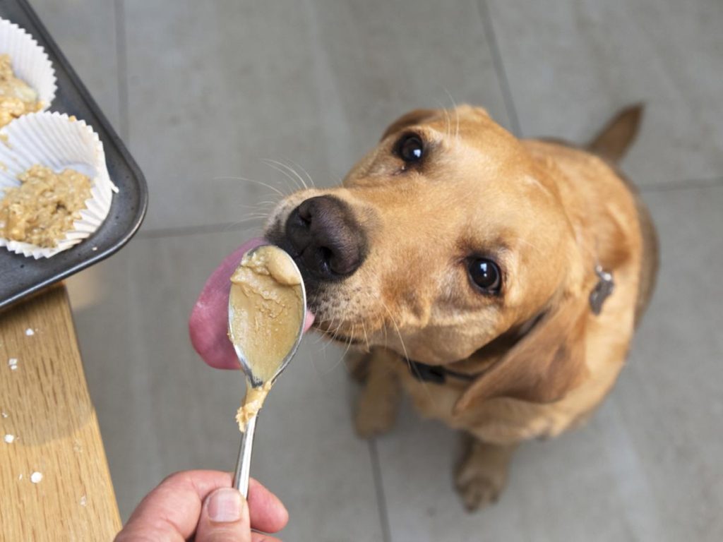 Choosing right brand of peanut butter