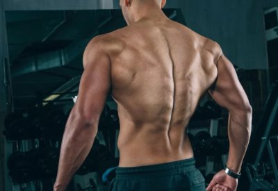 Fat Burners For Belly Fat